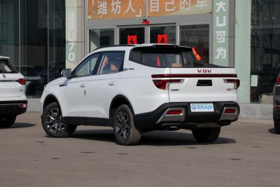 2022款 2.0T自动行业定制版HY4C20B-外观-图片-有驾