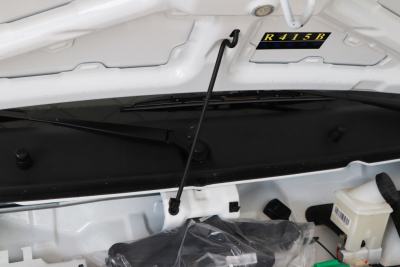 2020款 标准版29.95kWh-外观-图片-有驾