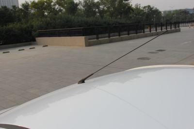 2013款 国际版 1.0L 豪华型-外观-图片-有驾
