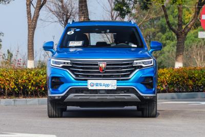 2020款 500PHEV 智能座舱至尊版-外观-图片-有驾