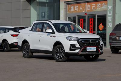 2022款 2.0T自动行业定制版HY4C20B-外观-图片-有驾