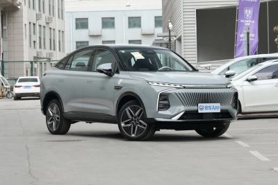 2022款 2.0T 白鲸版-外观-图片-有驾