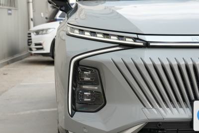 2022款 2.0T 白鲸版-外观-图片-有驾