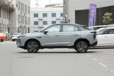 2022款 2.0T 白鲸版-外观-图片-有驾