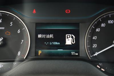 2021款 1.3T 自动轻混动精英型-内饰-图片-有驾