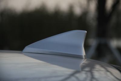 2010款 3.6L 旗舰型-外观-图片-有驾