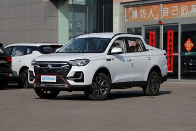 2022款 2.0T自动行业定制版HY4C20B-外观-图片-有驾