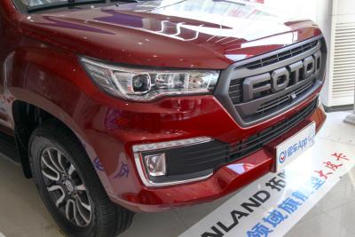 2020款 2.0T驭途9柴油四驱精英型长轴4F20TC-外观-图片-有驾